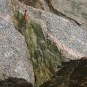 Colour image of gray rock and pencil for scale