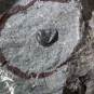 Colour image of gray rock with red circle and small black bump
