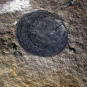 Colour image of gray rock with large black dot