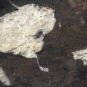 Colour image of black rock with large white spots