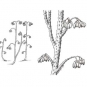 Triple colour image of gray rocks with thick, black striping with drawing of plants in center