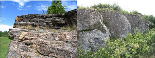 Double colour image of gray rocks and trees
