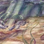 Colour image of water, fish and plants