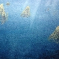 Image couleur de l’océan bleu et d’animaux ressemblant à des méduses 