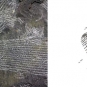 Double image couleur : roche noire avec enchevêtrement de lignes grises et dessin d'animal 