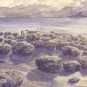 Colour image with sky, water, and round plants