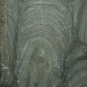 Image couleur de roche grise avec cercles gris clair