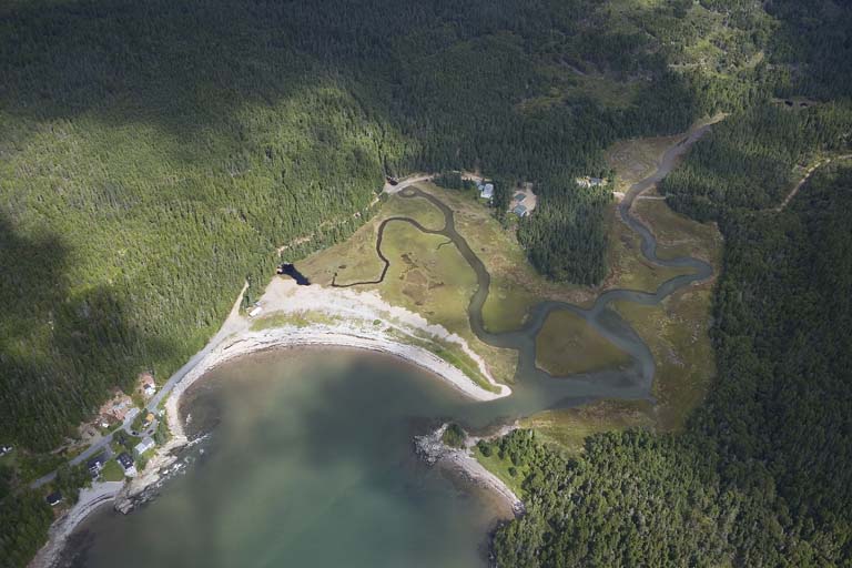 Colour photograph of a beach on the ocean with green forest surrounding it